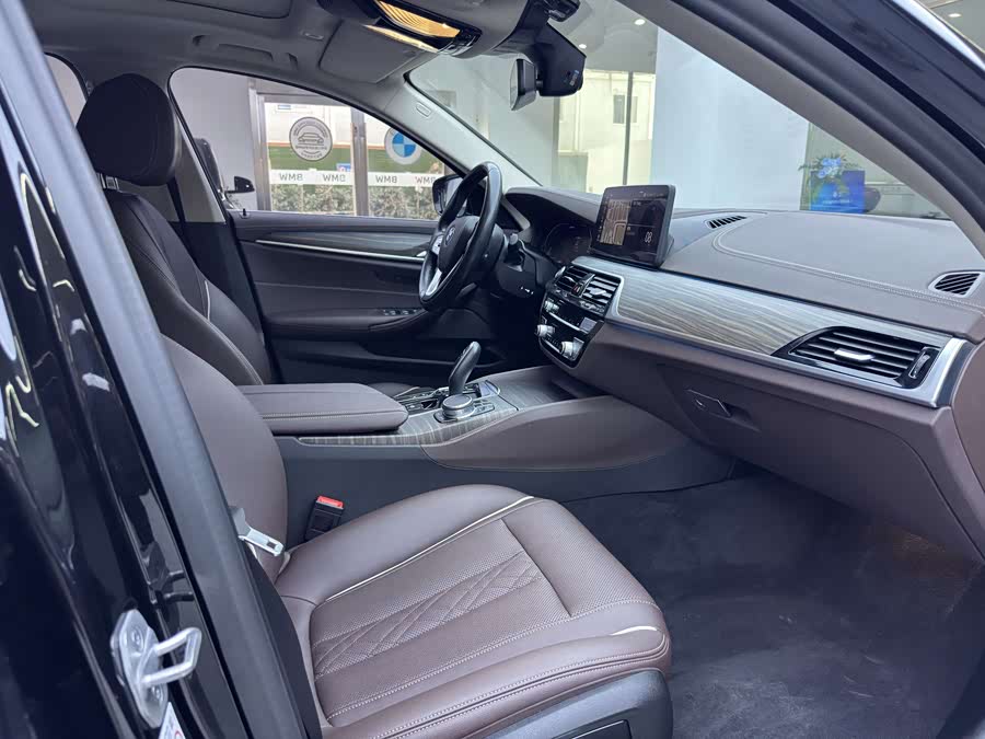 BMW 5 Series New Energy 2020 car image #12