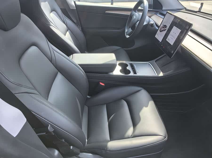 Tesla Model Y 2021 car image #12