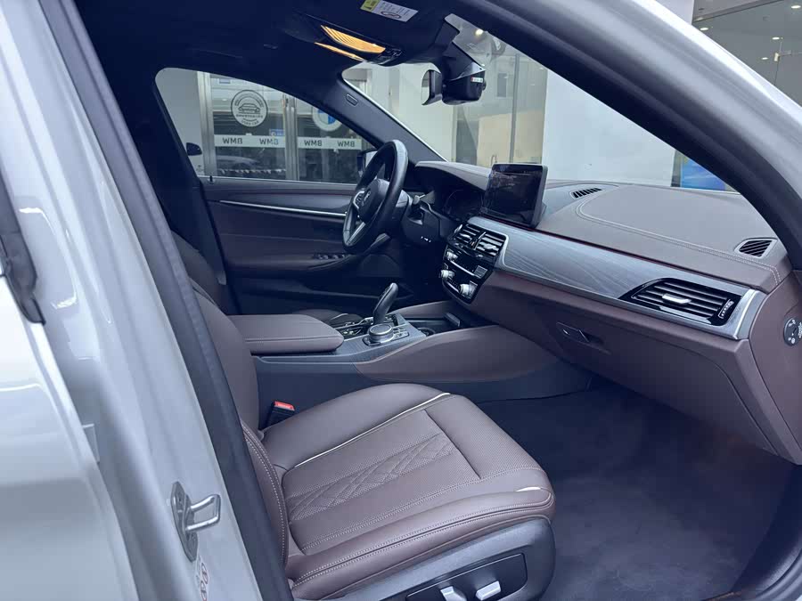 BMW 5 Series New Energy 2020 car image #12