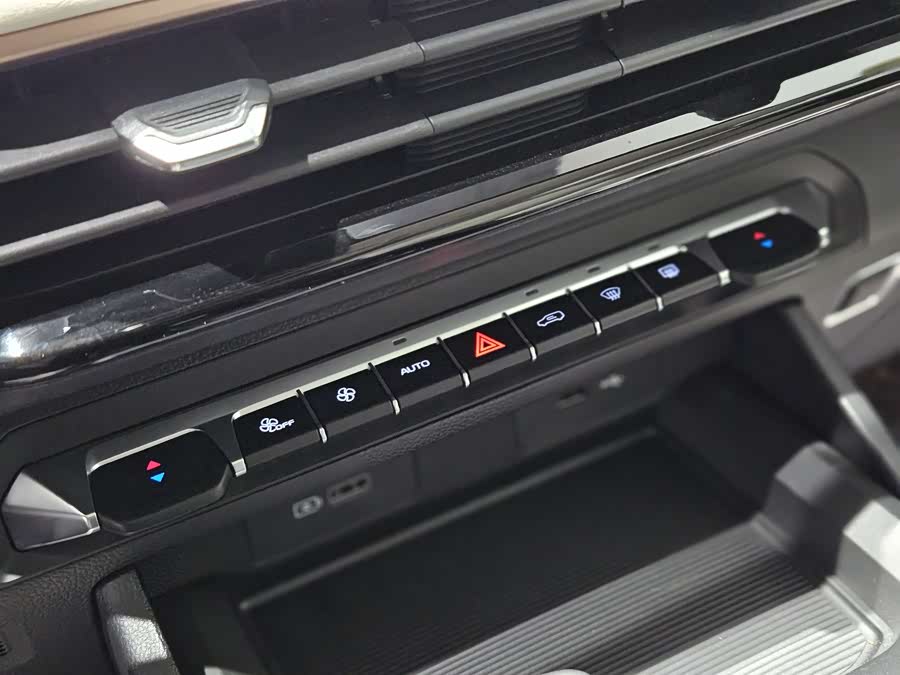 睿蓝汽车 睿蓝9 2024 汽车图片 #12