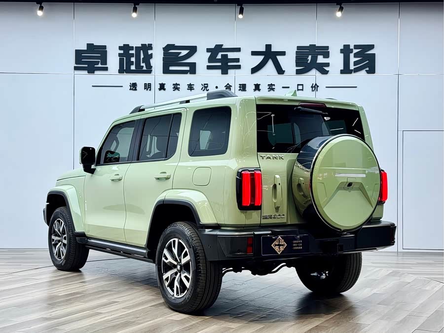 Tank 300 2022 #12 Tank 300 2022 imagen de coche #12