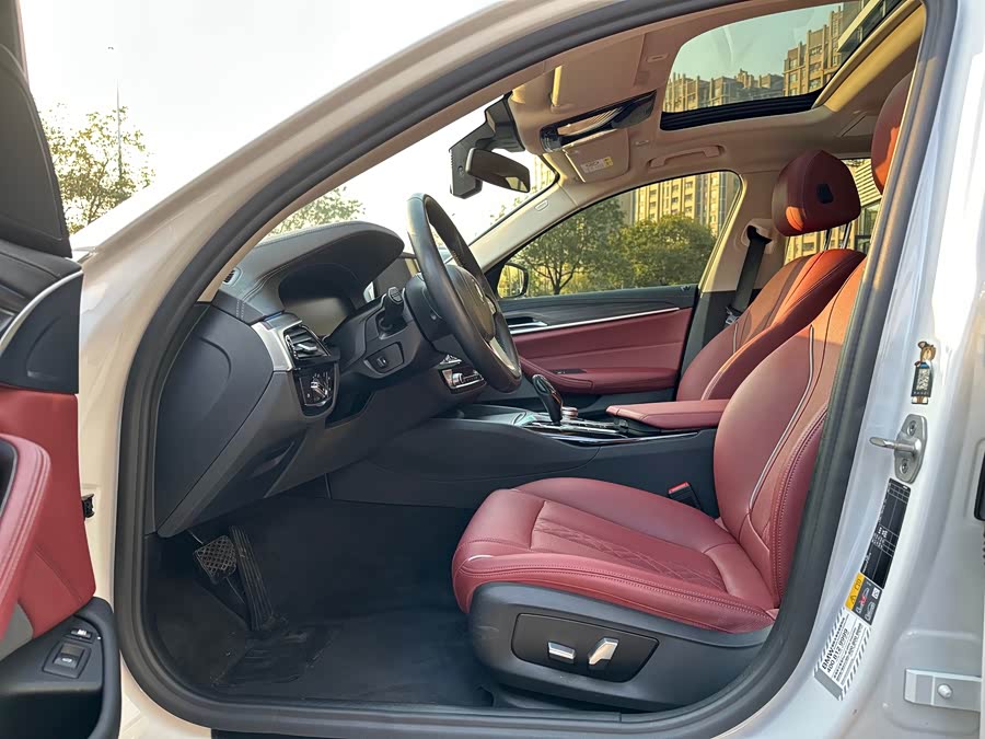 BMW 5 Series New Energy 2020 car image #12