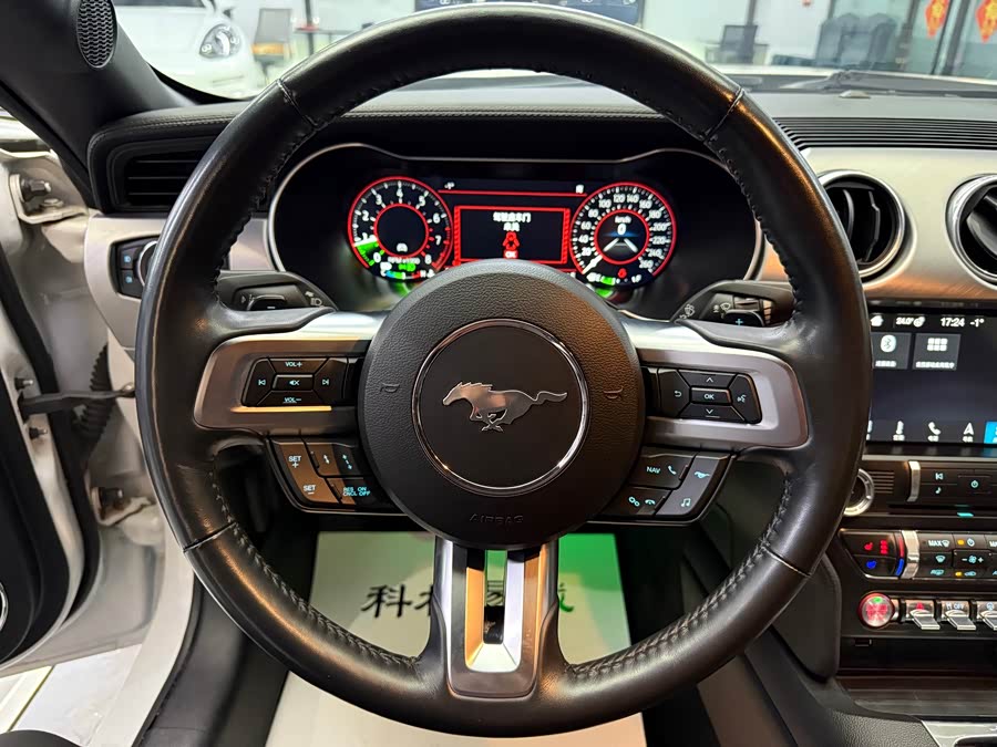 Ford Mustang 2019 #12 Ford Mustang 2019 car image #12