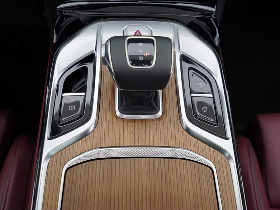 HongQi E-HS9 2022 immagine di auto #12