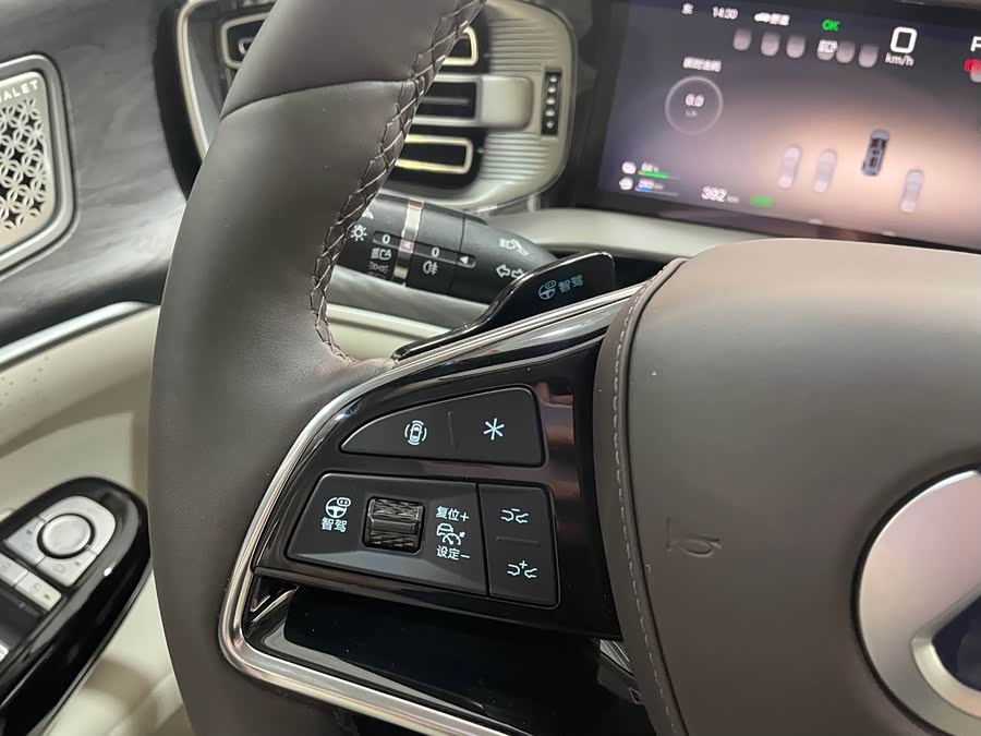 Denza D9 2025 imagen de coche #12