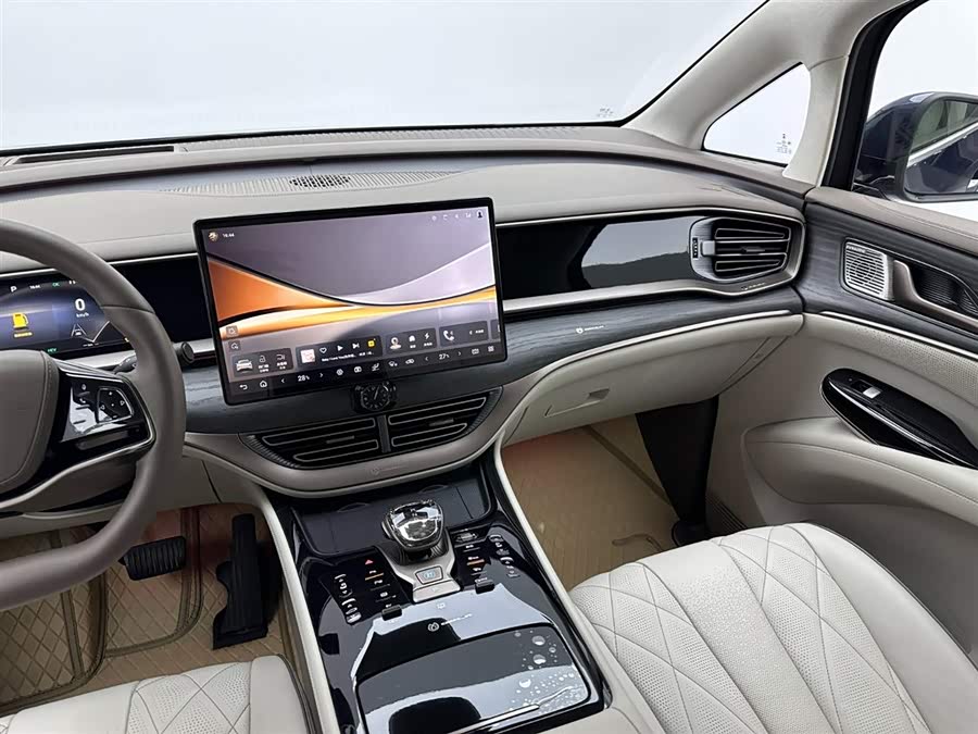 Denza D9 2022 car image #12