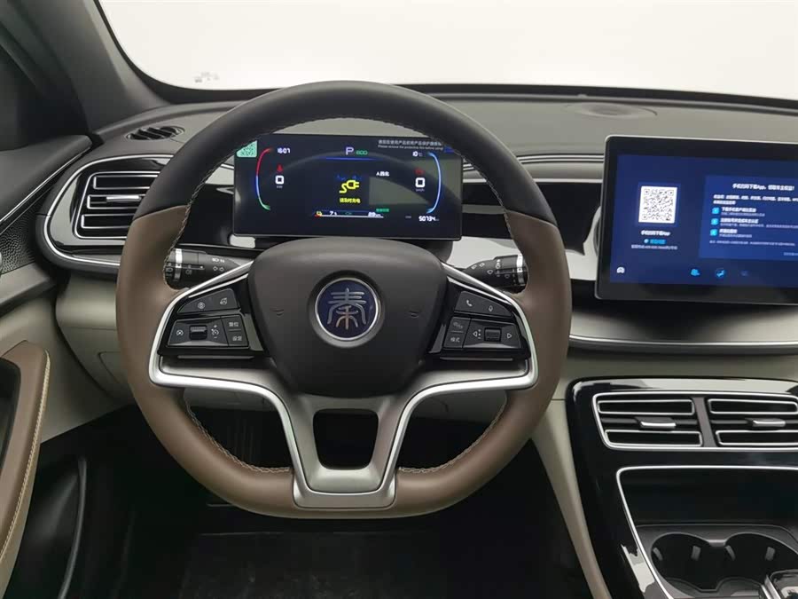 BYD Qin Plus 2023 immagine di auto #12