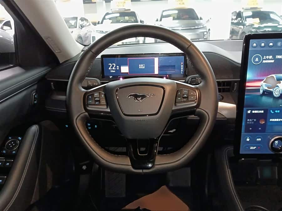 Ford Mustang Mach-E 2022 car image #12