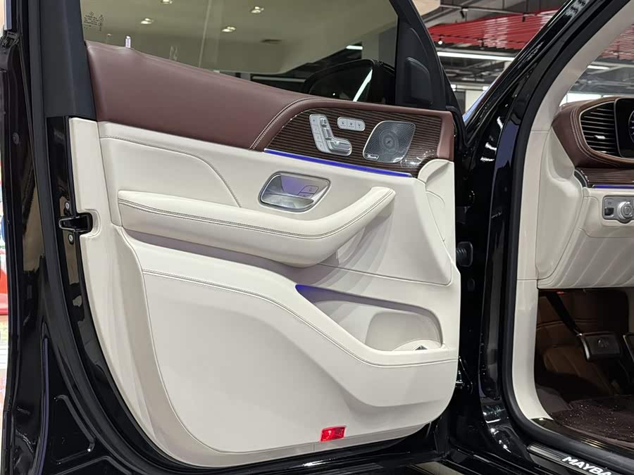 Mercedes-Benz Maybach GLS 2021 car image #12