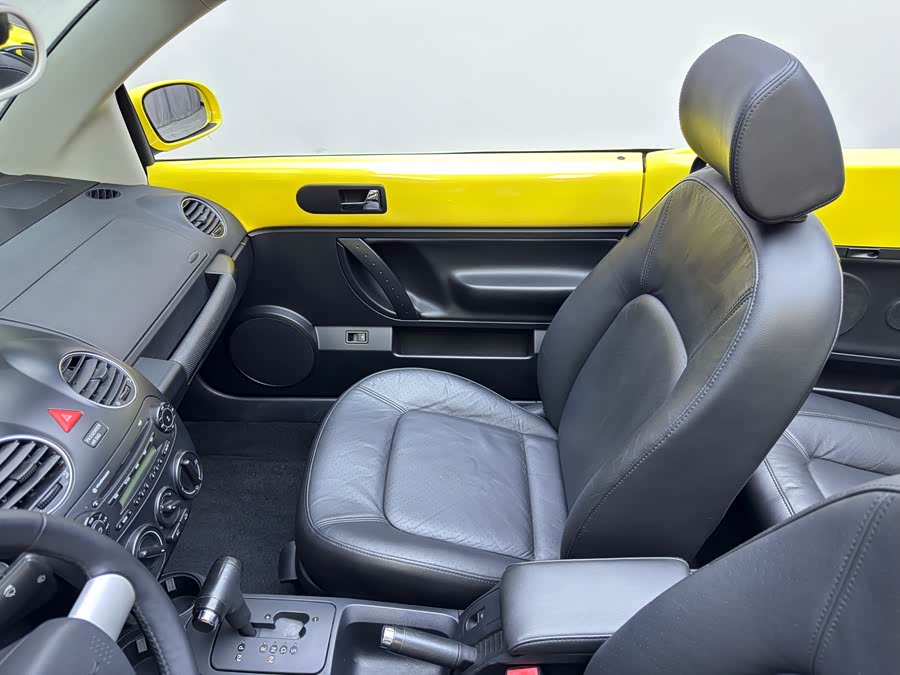 Volkswagen Beetle 2010 immagine di auto #12