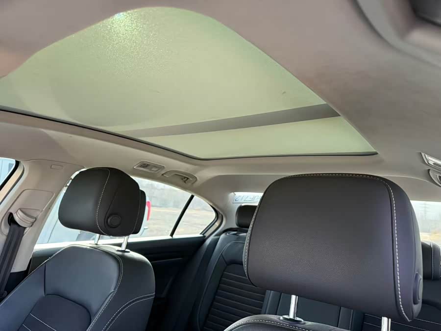 Volkswagen Magotan 2020 car image #12