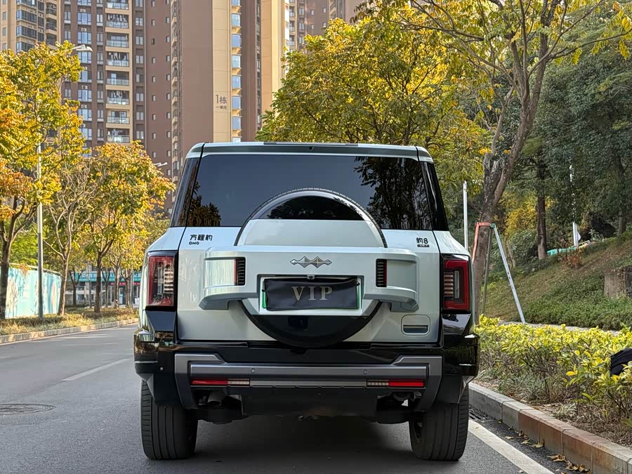 FangChengBao Leopard 8 2024 car image #12