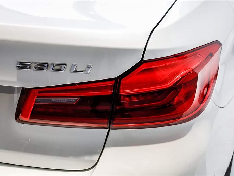 BMW 5 Series 2019 car image #12