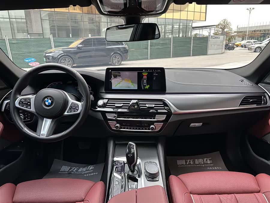 BMW 5 Series New Energy 2021 car image #12