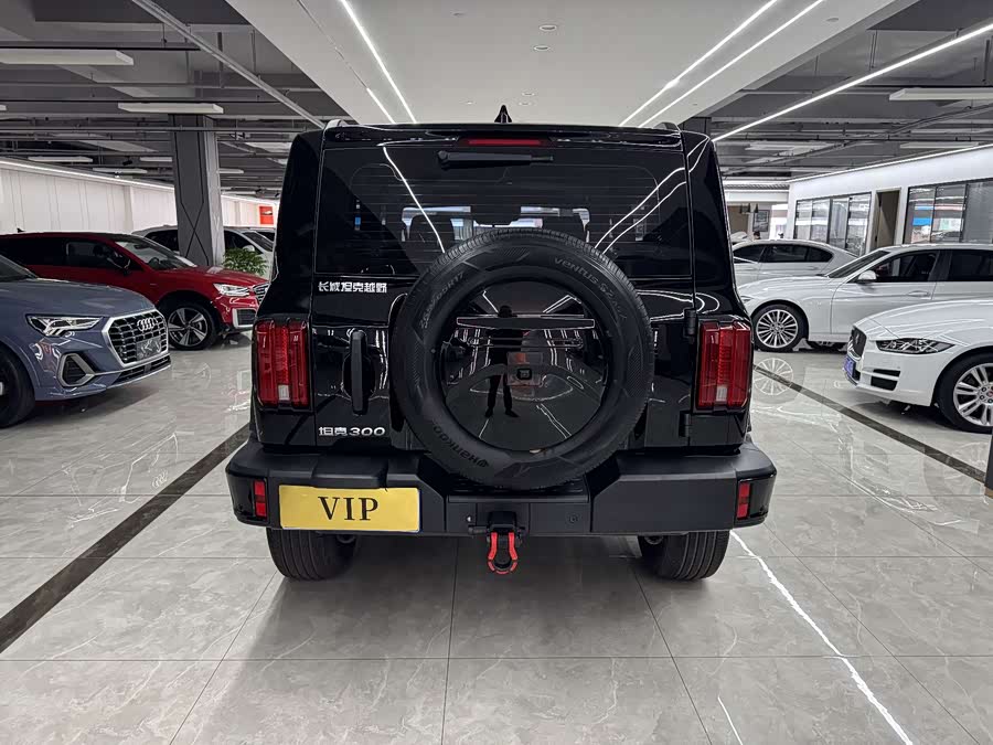 Tank 300 2024 car image #12