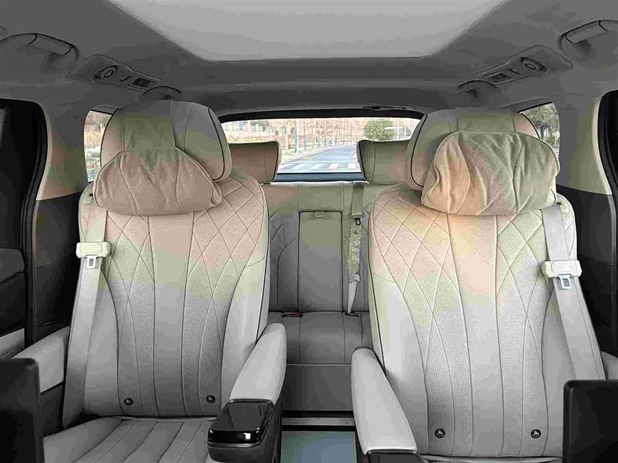 Denza D9 2023 immagine di auto #12