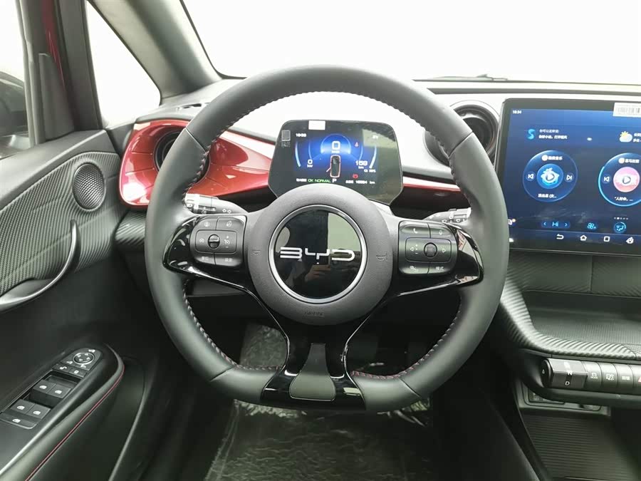 BYD Dolphin 2024 immagine di auto #12