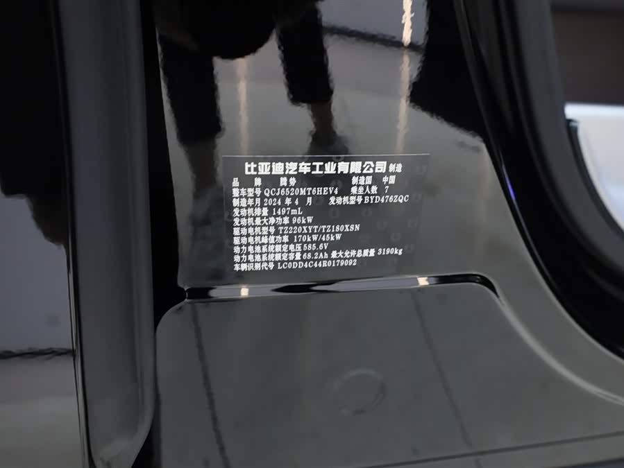 Denza D9 2024 car image #12