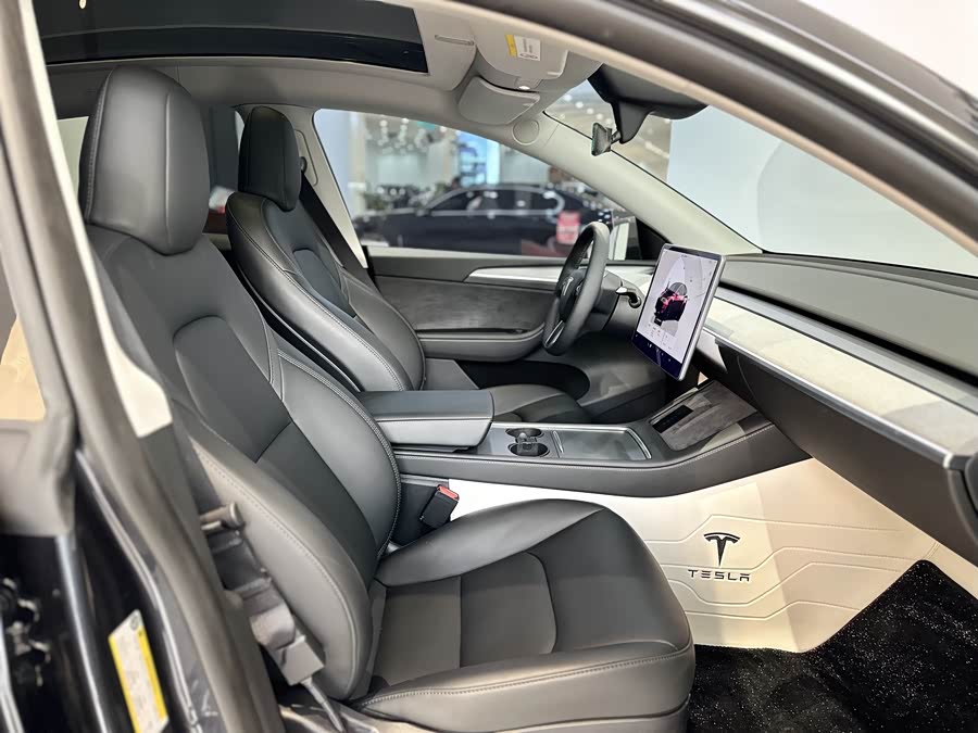 Tesla Model Y 2024 car image #12
