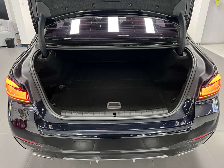 BMW 5 Series New Energy 2021 car image #12