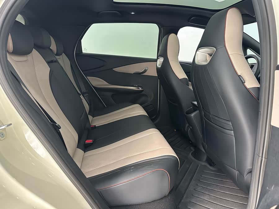 BYD Dolphin 2024 immagine di auto #12