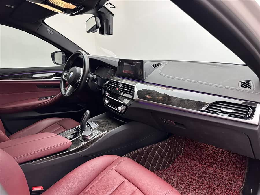 BMW 5 Series 2020 car image #12