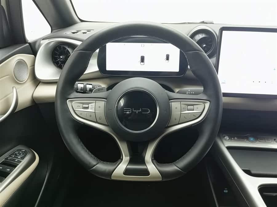 BYD Dolphin 2025 car image #12