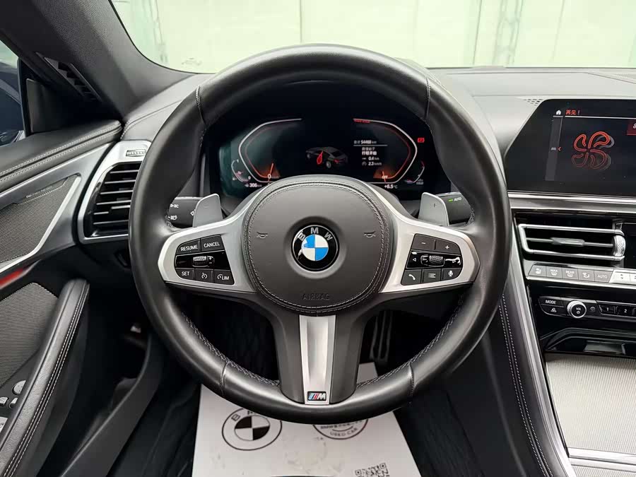 BMW 8 Series 2021 car image #12