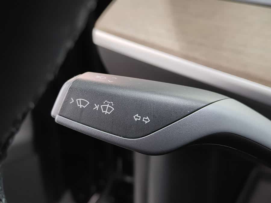 Tesla Model Y 2021 car image #12
