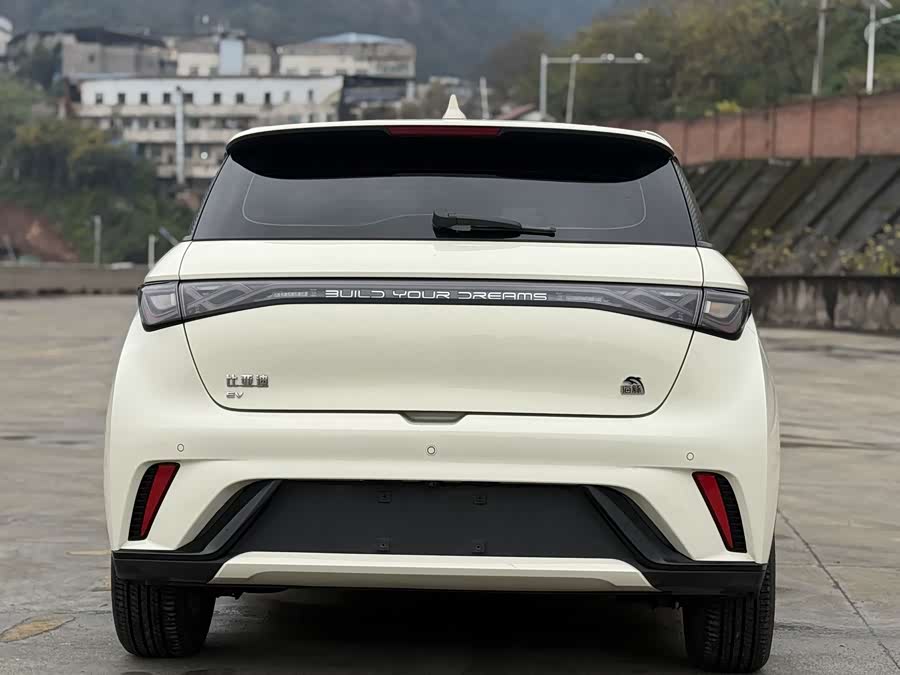 BYD Dolphin 2023 immagine di auto #12