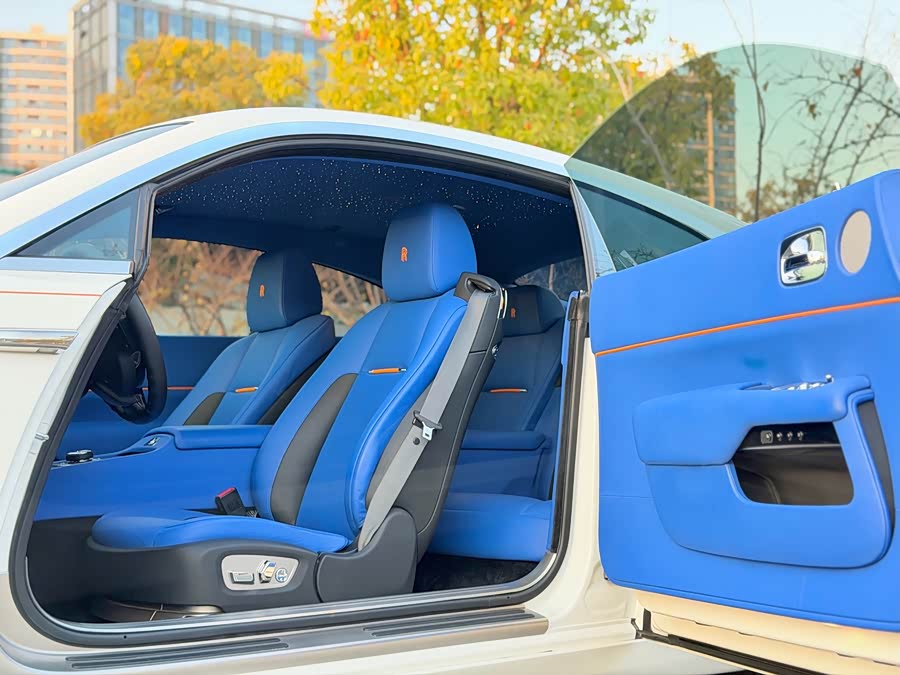Denza Wraith 2017 car image #12