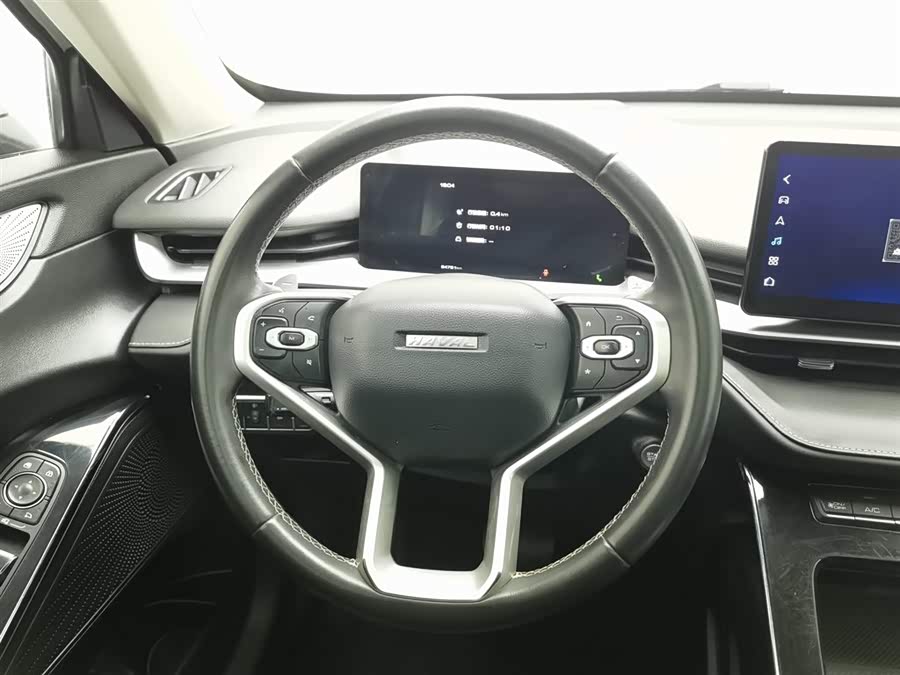 Haval H6 2022 car image #12