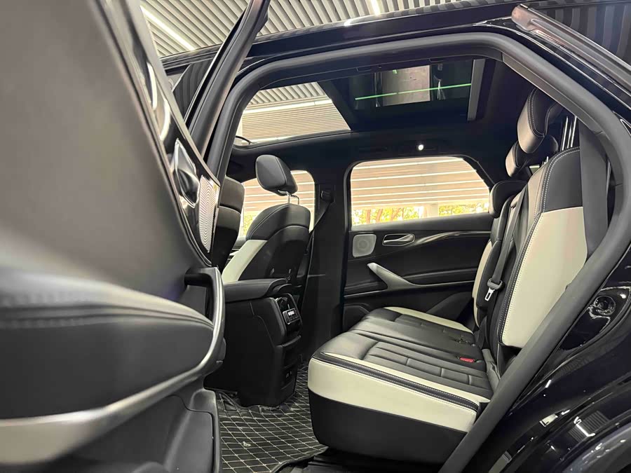 Denza X 2020 car image #12