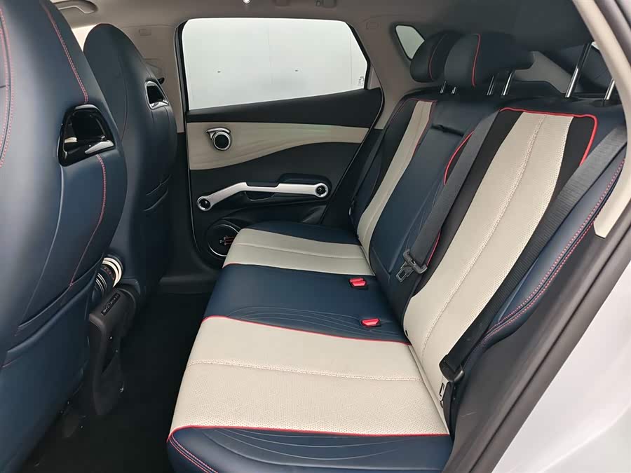 BYD Yuan Plus 2022 car image #12
