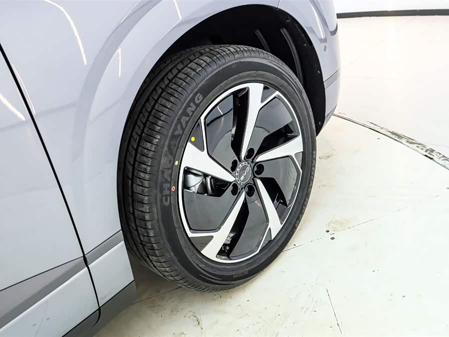 BYD Sea Lion 06 New Energy 2025 car image #12