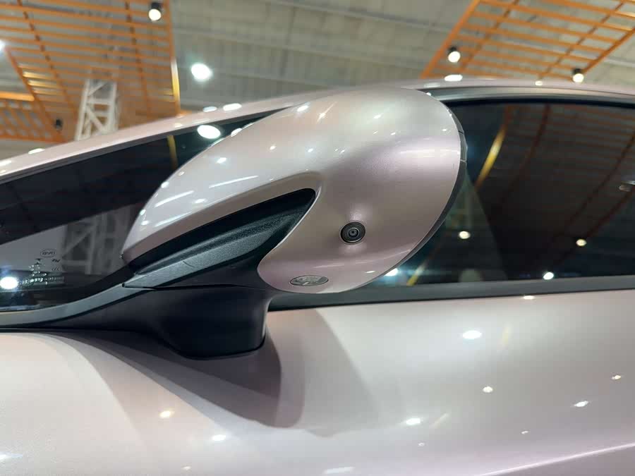 BYD Dolphin 2022 #12 BYD Dolphin 2022 immagine di auto #12