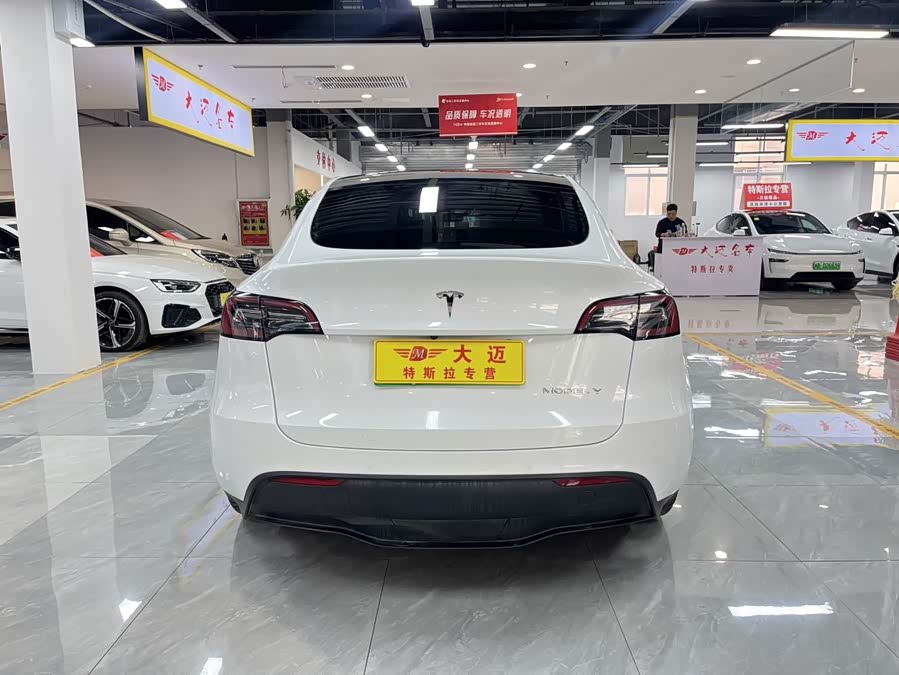 Tesla Model Y 2023 car image #12
