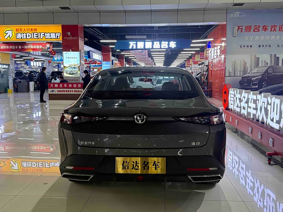 Changan Eado 2024 car image #12