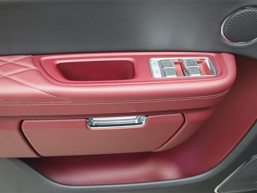 HongQi E-HS9 2023 immagine di auto #12