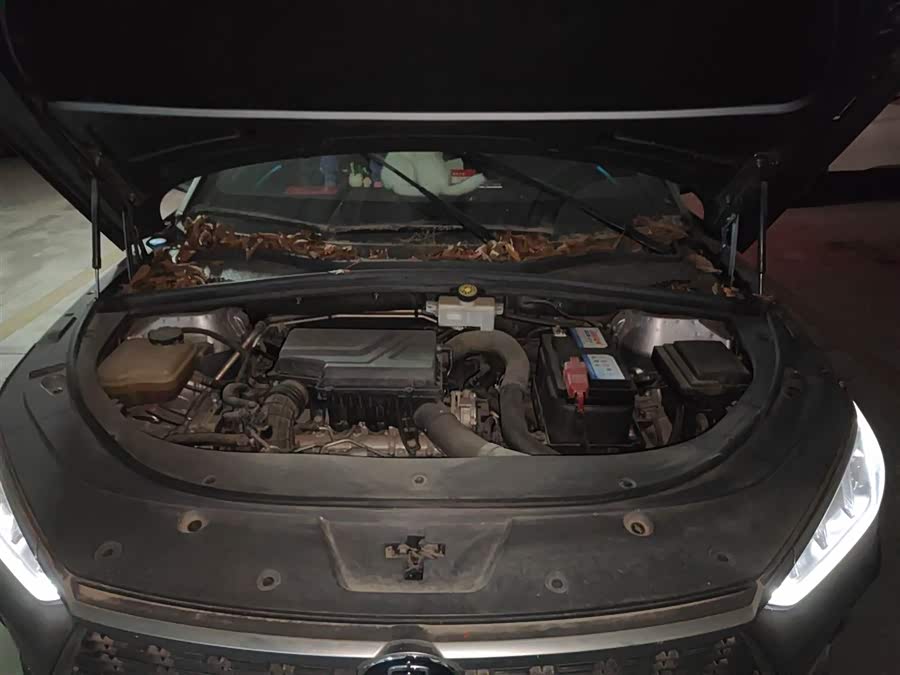 BYD Song Plus 2021 car image #12