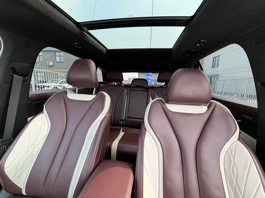 GEELY Monjaro 2021 car image #12