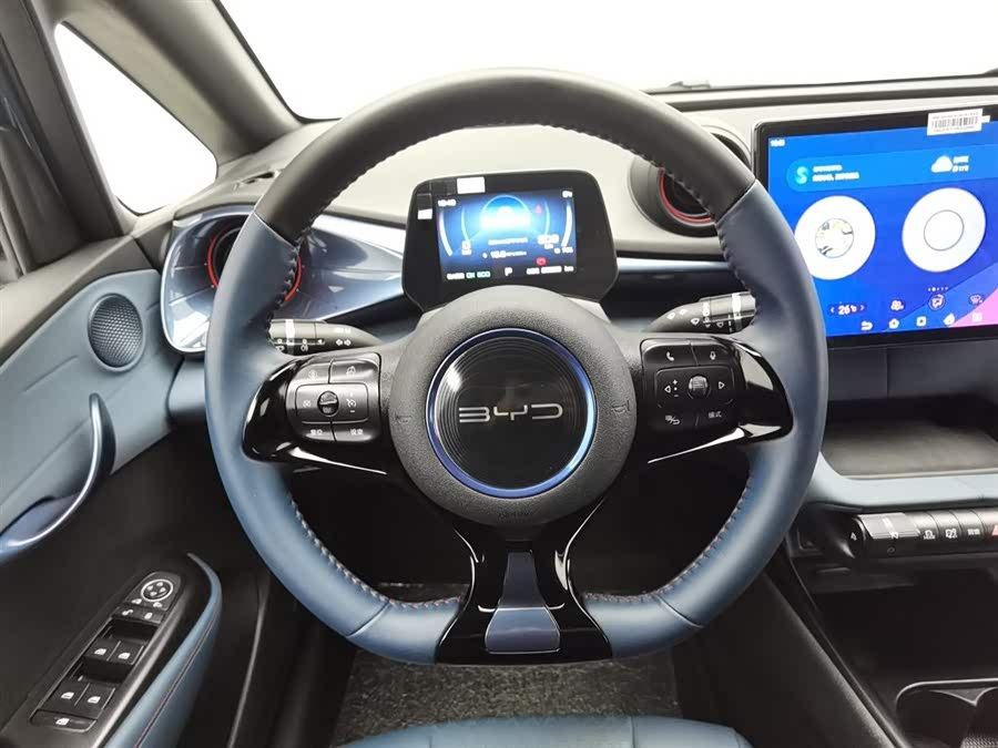 BYD Dolphin 2022 #12 BYD Dolphin 2022 immagine di auto #12