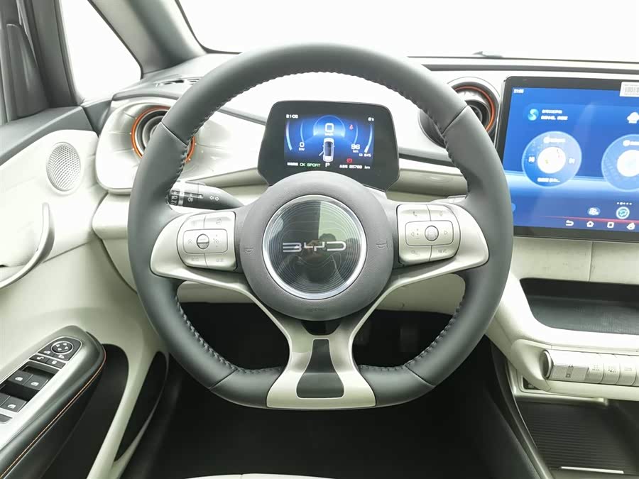 BYD Dolphin 2022 #12 BYD Dolphin 2022 car image #12