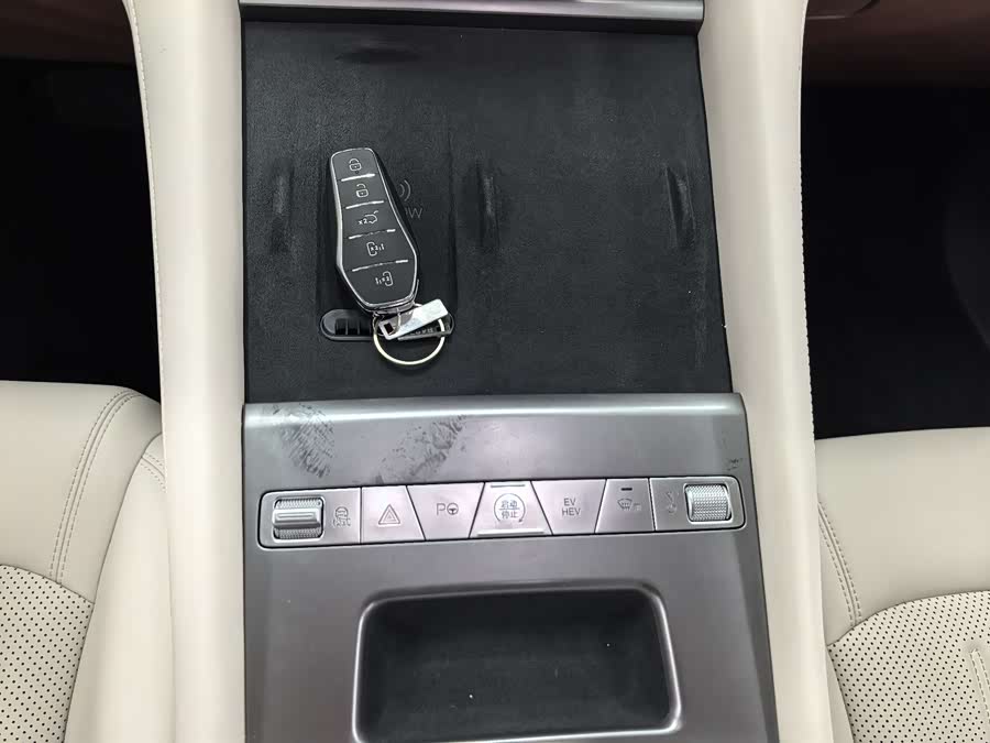 BYD Xia 2024 imagen de coche #12