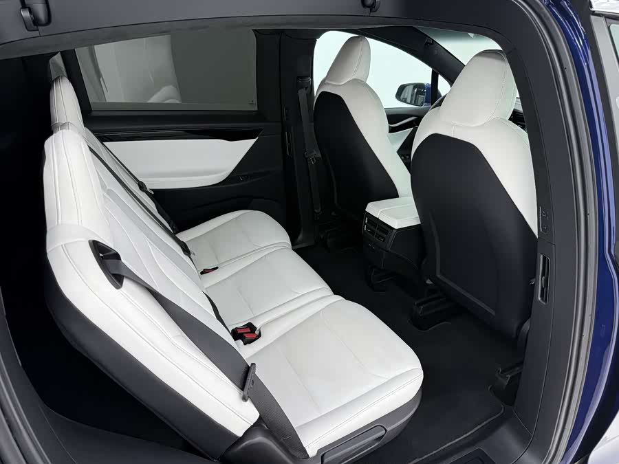 特斯拉 Model X 2019 汽车图片 #12