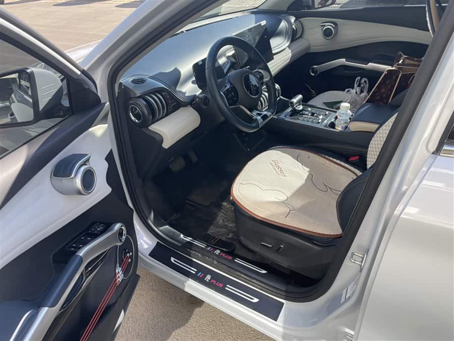 BYD Yuan Plus 2023 car image #12