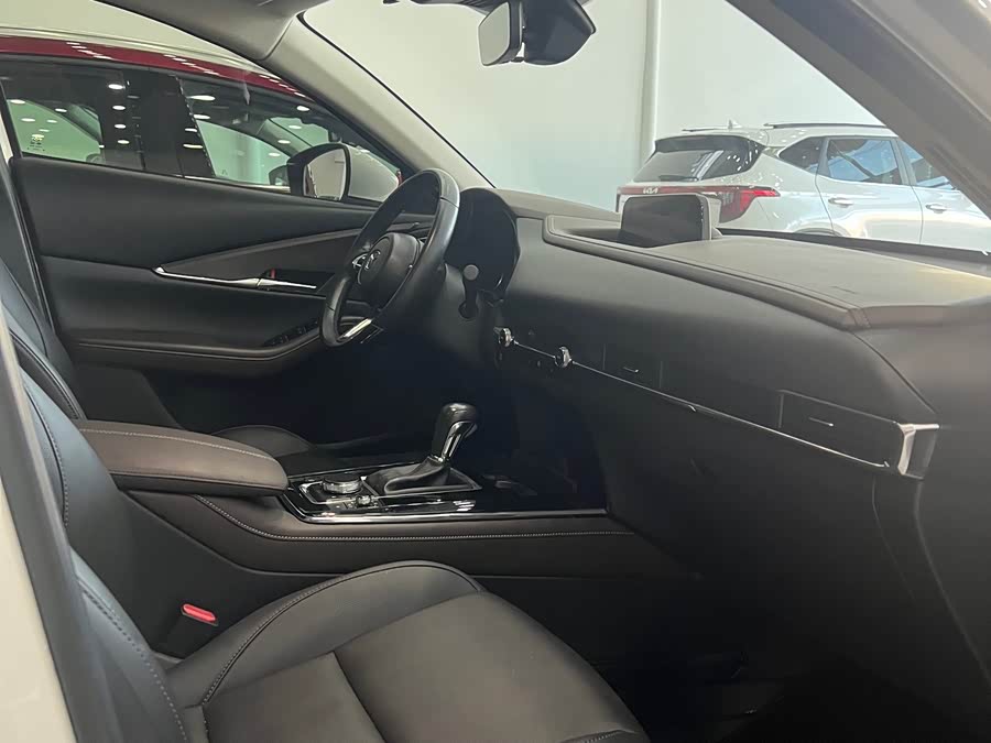 Mazda CX-30 2022 car image #12
