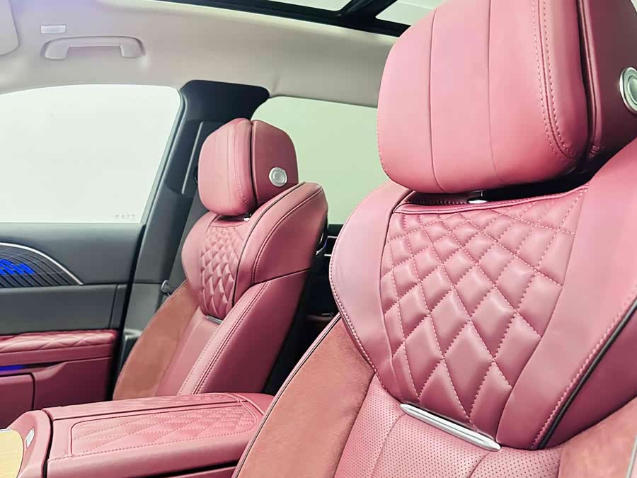 HongQi E-HS9 2023 image de voiture #12