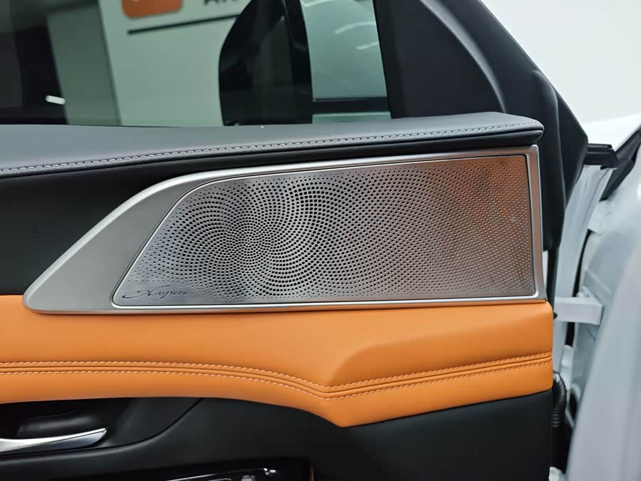 Xpeng G9 2023 immagine di auto #12