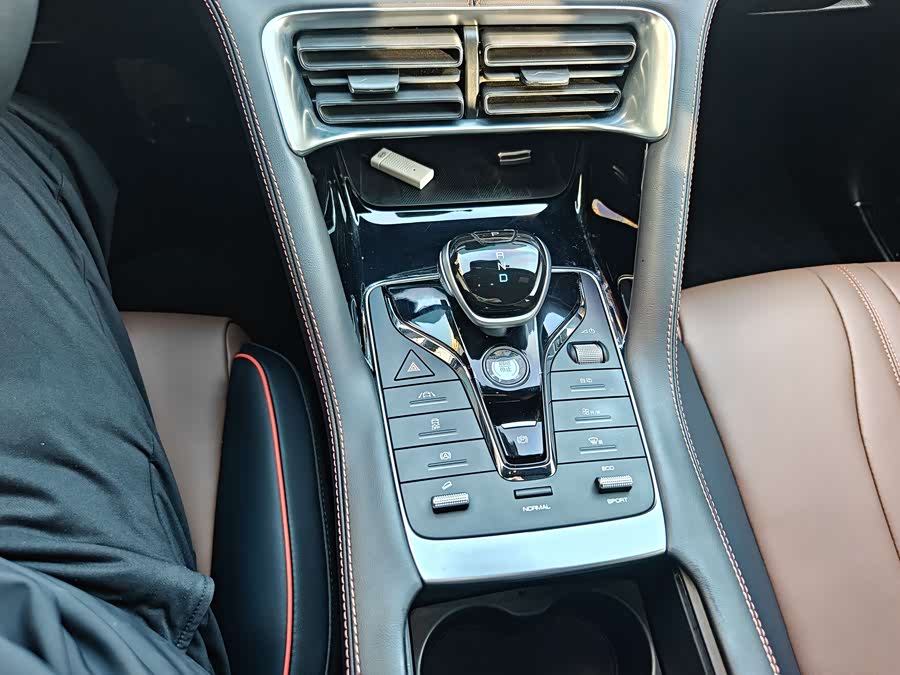 BYD Song Plus 2021 car image #12